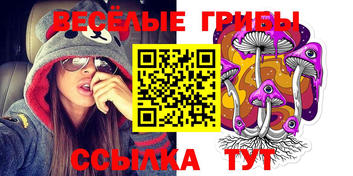 Псилоцибиновые грибы Psilocybe  Галлюциногенные грибы Psilocybine cubensis  Вход с VPN  Знаменск 
